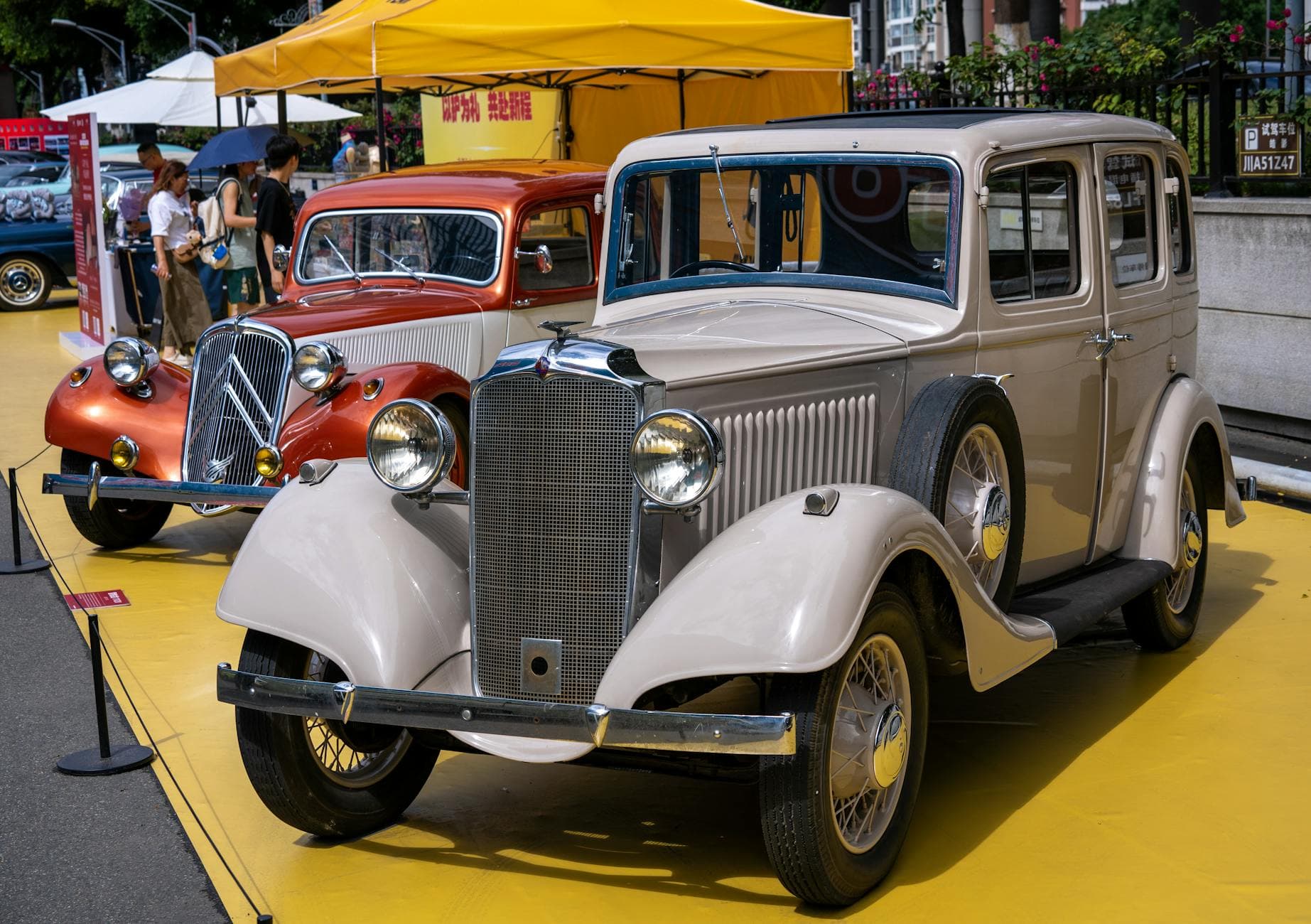 Restored classic cars on display at a dealership