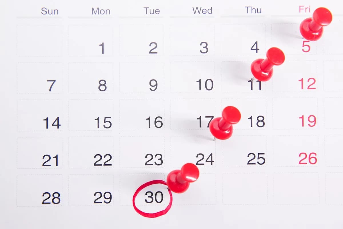 CIS Monthly Returns: How to File the CIS300 and Pay HMRC