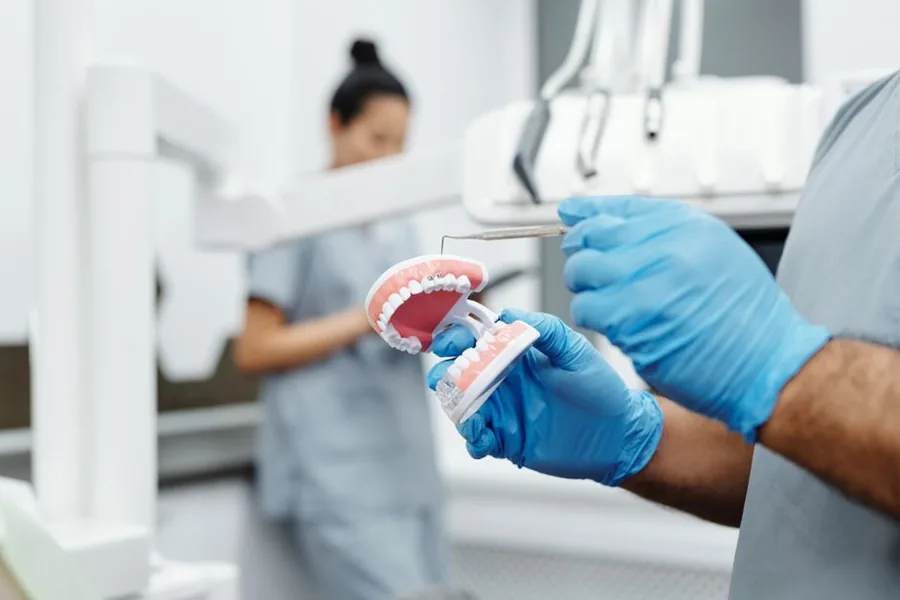 A dentist demonstrating with a dental jaw model alongside a colleague, the kind of hands-on training a professional course provides A dentist demonstrating with a dental jaw model alongside a colleague, the kind of hands-on training a professional course provides