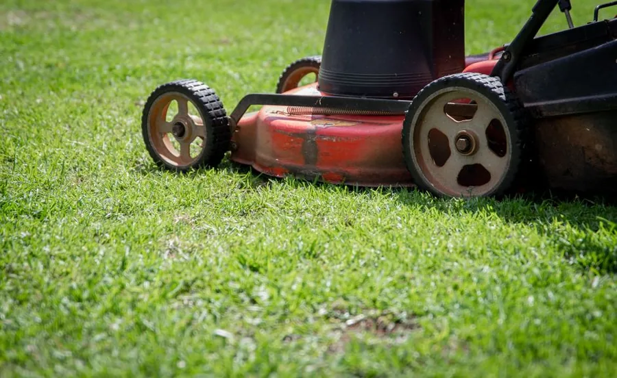 A petrol lawn mower cutting a lawn, the kind of equipment a landscaper can claim against tax