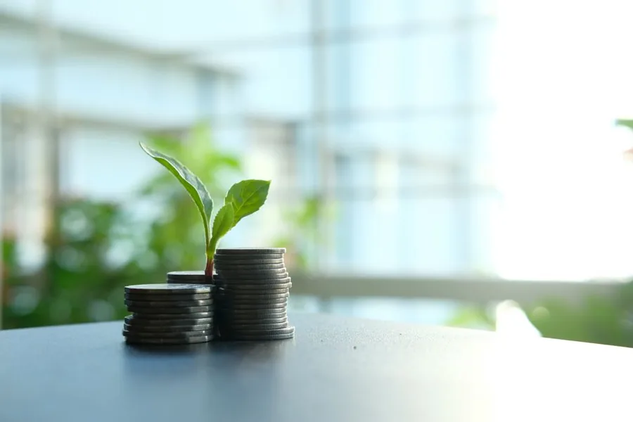 Stacked coins with a young plant, representing profit kept in the business and reinvested for growth Stacked coins with a young plant, representing profit kept in the business and reinvested for growth